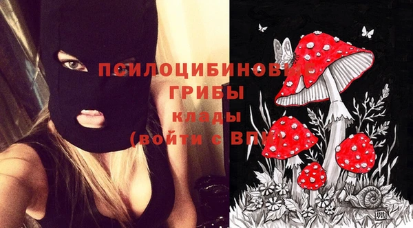 кокаин перу Сясьстрой