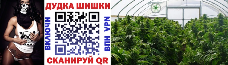 Купить  Черноголовка  Конопля индика 